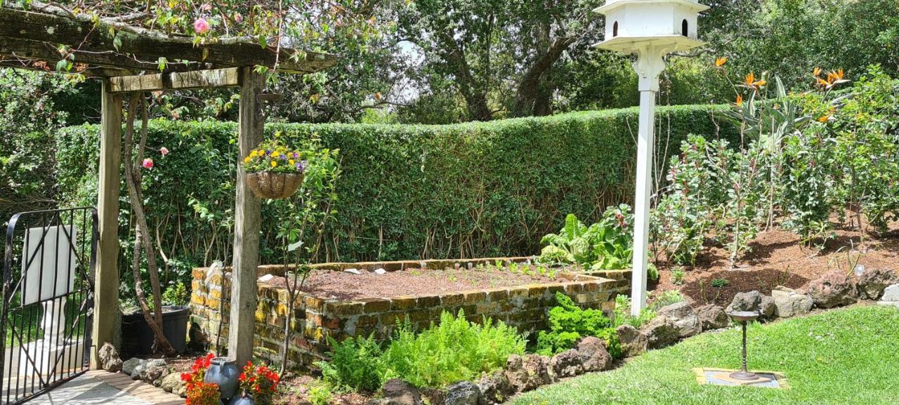 Dovecote House Bed & Breakfast Auckland Bagian luar foto