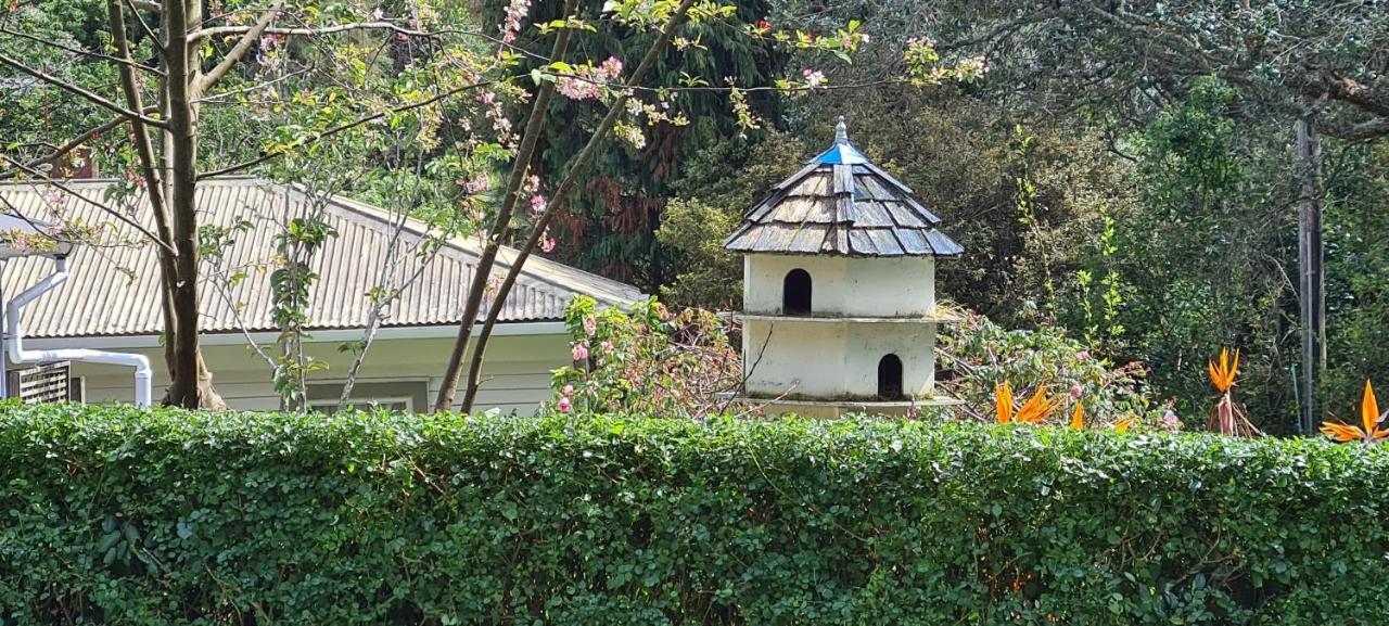 Dovecote House Bed & Breakfast Auckland Bagian luar foto
